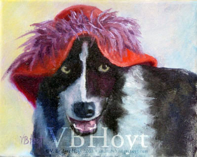 Border Collie in Red Hat, $99