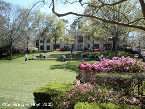 Back lawn at Bayou Bend